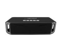 Haut-parleur Bluetooth sans fil avec Radio FM Built -in SD USB