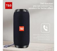 Haut-parleur Bluetooth T & G TG117, boîte de son TWS Portable, haut-parleur étanche, haut-parleurs stéréo Surround d'extérieur, Support Radio FM TF Sky Blue