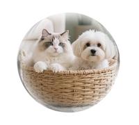 Haut-Parleur Boule de - Lampe de mémoire numérique de 2,7 Pouces, décor de Projection vidéo avec Audio intégré, Affichage visuel Unique | Charmante Chambre à Coucher, Bureau, Maison, Maison