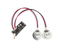 Haut-Parleur DIY 4 Ohms 5 W à Conduction Osseuse, Système Audio Caché, Pavillon à Résonance avec Carte D'Amplification , 2 Haut-Parleurs