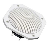 Visaton FRS 10 WP - 4 Ohm 4 pouces 10 cm Haut-parleur large bande 25 W 4 Ω blanc enceinte de sauna, enceinte encastrable, résiste