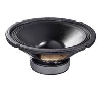 Haut-parleur PA-10 10 pouces professionnel noir