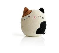 Haut-Parleur Portable - - Cam le Chat - Bluetooth 10 m - Microphone Intégré - 8h Autonomie