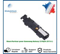Haut-Parleur pour Samsung Galaxy Z Flip4 (F721)