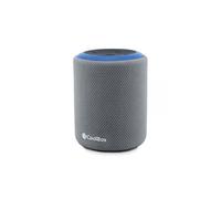 Haut-parleur sans fil - Glacière - COO-BTA-G231 - Bluetooth 5.3 - IPX6 - Léger et compact