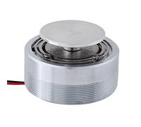 Haut-parleur Vibration Forte Basse 50mm 2 Pouces Toutes Les Fréquences Résonance Haut-parleur (4Ω 25W)
