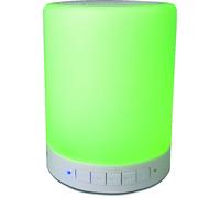 Haut-parleurs bluetooth portables Denver Electronics BTL-30 3 W