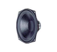 Visaton Haut-parleur WS 25 E – 8 Ohm – 80 W – Noir