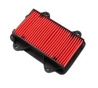 Haute perméabilité Filtre à air pour moto HAOJUE HJ100T-11-11A-12-8D-8E HJ100T-8F HJ100T-7F HJ100T-12 U100 VM100V VF100N UCR100 Structure interne métallique