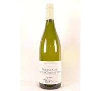 hautes côtes de nuits rion frères et sœur le mont blanc 2015 - bourgogne