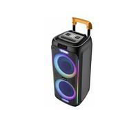 Hautparleur portable TSP456