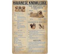 Havanese Knowledge - Affiche éducative en métal - L'anatomie d'une histoire havanaise - Plaque en étain pour école, magasin d'animaux de compagnie, café, chambre à coucher, salle de bain, cuisine