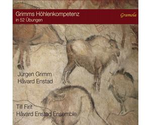 Havard Enstad Ensemb - Enstad Grimms Hohlenkompetenz in 52 Ubungen [New CD]