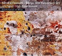 Havard Fossum - Bo - Examination Of What - CD - G4z