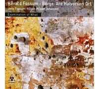 Havard Fossum, Borge Are Halvorsen - Examen De Ce Que