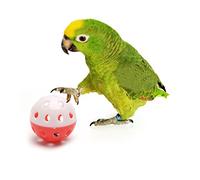 Haven shop Lot de 1 balles creuses pour perroquet, ara gris du Gabon, cacatoès d'Afrique et cacatoès