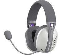 Havit Fuxi-H3 (grey) Casque Sans fil et filaire Arceau Gaming USB Type-C Bluetooth Gris