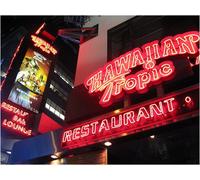 Hawaiian Tropic Zone Volume 1