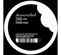 Hawerchuk - Camel Toe