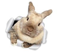 HAWILLOSCH Autocollant Mural Lapin Réaliste Auto-adhésif Décoration Murale pour Chambre Garçon Fille Salon et Maison Motif Créatif pour Ambiance Chaleureuse