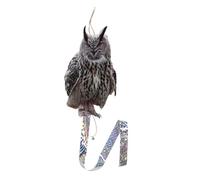 HAWILLOSCH Chouette Décorative Extérieure en Acrylique Double Face | Jardin et Verger, Installation Simple, Protège Cultures et Espaces, Forme Hibou, Usage Balcon Fenêtre
