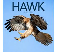 Hawk Calendar 2027: Birds of Prey and Sky Scenes