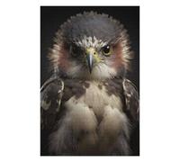 Hawk Looking At The Camera, Puzzle pour Adultes, 1000 PCS