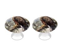 Hawk Sitting In The Tree Lot de 2 boutons de placard vintage en acier inoxydable pour commode, tiroir, salle de bain, porte de placard, porte à deux volets