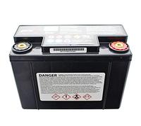 Hawker Enersys Genesis G13EP 0770-2007 Blei PB Akku 13000mAh
