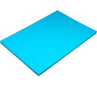 Hawksbill Lot De 100 Feuilles De Papier Bleu Pâle 80 G/M² A4 De Qualité Supérieure Pour Impression De Copieur Au Bureau Et À La Maison