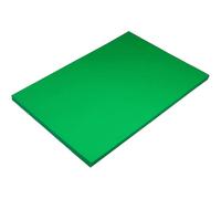 Hawksbill Lot de 100 feuilles de papier vert vif 80 g/m² A4 de qualité supérieure pour photocopieur, impression au bureau et à la maison