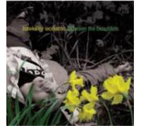 Hawksley Workman - Between The Beautifuls