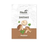 Hawlik Pilzbrut - Culture de champignon Shiitake sur bois & troncs d'arbres - 20 chevilles avec mycélium pour cultiver des champignons - cueillir champignons frais