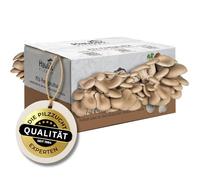 Hawlik Pilzbrut - Culture de pleurote en huître - Kit champignons à faire pousser soi-même - c'est un jeu d'enfant de récolter des pleurotes frais - Grande kit champignon