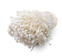 Hawlik Pilzbrut Enoki Kit de culture de champignons - Culture de champignons bio - Kit de culture de champignons pour débutants et confirmés - Kit de culture de champignons pour la maison - Enoki doré