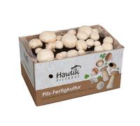 Hawlik Pilzbrut - Grand kit de culture de champignons blancs - Champignons à faire pousser soi-même - récolter des champignons frais - Kit Champignon de Paris