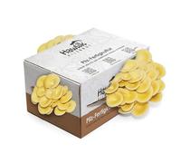 Hawlik Pilzbrut - Grande Culture de champignon pleurote jaune | Kit champignons à faire pousser sans connaissances préalables I Kit de culture facile pour la maison I Cueillir champignons frais