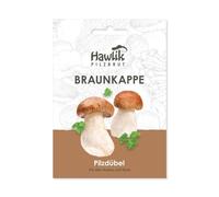 Hawlik Pilzbrut I Stropharia rugosoannulata comme cheville à cultiver des champignons soi-même I I Faire pousser des champignons frais en un ballots de paille | Mycelium de champignon