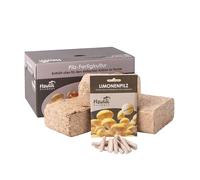 Hawlik Pilzbrut - Kit de culture de champignons de pleurote jaune pour le jardin - Récolte des champignons frais en toute simplicité - Kit Champignon à faire pousser