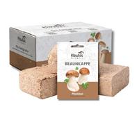 Hawlik Pilzbrut Kit de culture de champignons pour le jardin - Kit de parterre de champignons - Culture facile des champignons dans le jardin - Idéal pour les débutants et pour offrir - Paria de
