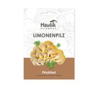 Hawlik Pilzbrut - L'original - Champignon pleurote jaune comme cheville à cultiver - cultiver des champignons frais - 20 chevilles de mycélium pour la culture de champignon jaune sur bois et paille