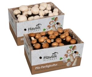Hawlik Pilzbrut - Lot de 2 cultures de champignon de Paris - Facile à faire pousser des champignons -Kit champignons - Champignons de Paris blancs et bruns