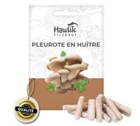 Hawlik Pilzbrut - Pleurotes en huître comme cheville pour cultiver soi-même - jeu d'enfant de récolter des champignons frais - 20 cheville avec mycélium de champignon pour cultiver sur bois et paille