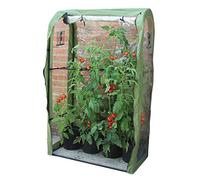 Haxnicks FRAME220101 Housse de Protection pour Plants de tomates 100 x 160 x 50 cm, Vert