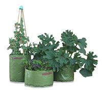 Haxnicks Pot de Fleurs Carré de Potager de terrasse pour légumes 45x45x25 cm Green