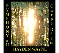 Hayden Wayne Hayden Wayne: Symphony #11: Carpe Diem (CD) Album