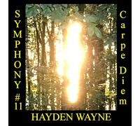 HAYDEN WAYNE - Symphony #11: Carpe Diem [Import]