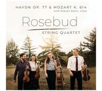 Haydn / Dann / Rosebud String Quartet - String Quartet In G Major [Compact Discs]