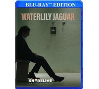 Haydn: Die Schöpfung