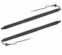 Hayon Arrière Botte 106566400B 112969800A Pièces Automobiles Élévateur De Hayon Électrique Coffre Intelligent Hayon Électrique Pour Tesla Pour Modèle X 2016-2023 Vérin Hayon de Coffre Arrière